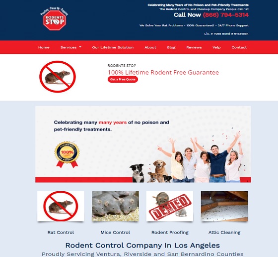 website-design-in-los-angeles